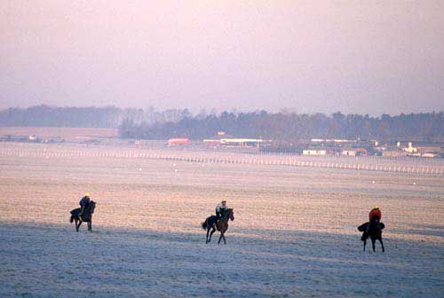 The Gallops at Newmarket