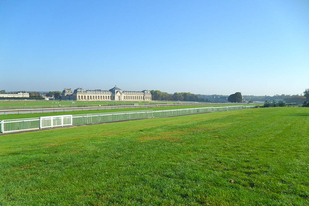 The Beauty of Chantilly