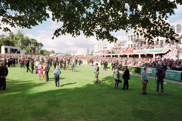 The Parade Ring at Leopardstown