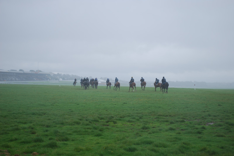 Morning at The Curragh