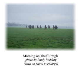 Morning on The Curragh