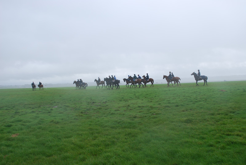 Morning at the Curragh