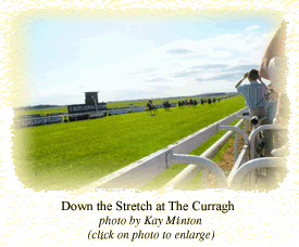 Down the Stretch at The Curragh