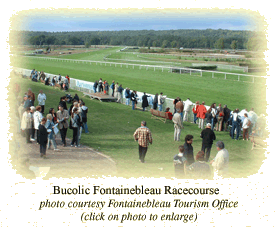 Bucolic Fontainebleau Racecourse