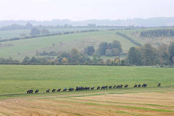 The Valley of the Racehorse