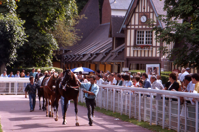 The Paddock at Deauville-la-Touques