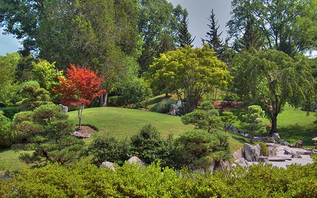 The Japanese Garden at Cheekwood