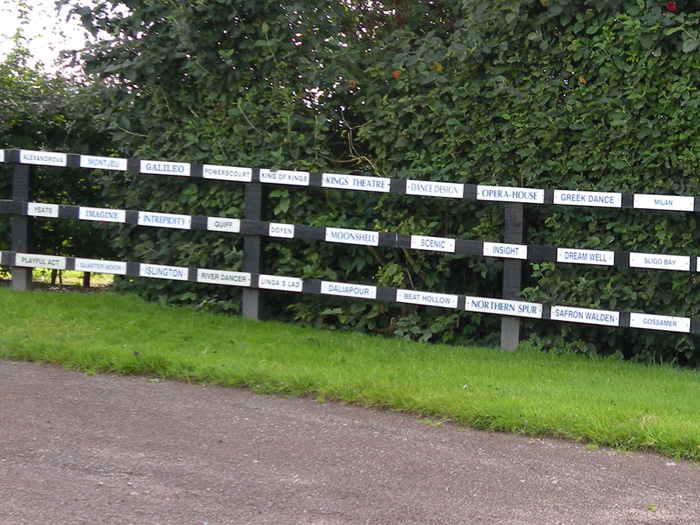 The Group 1 Fence at Coolmore
