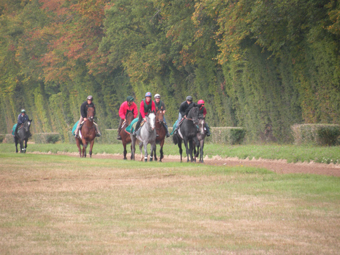 Training on Les Aigles, Chantilly